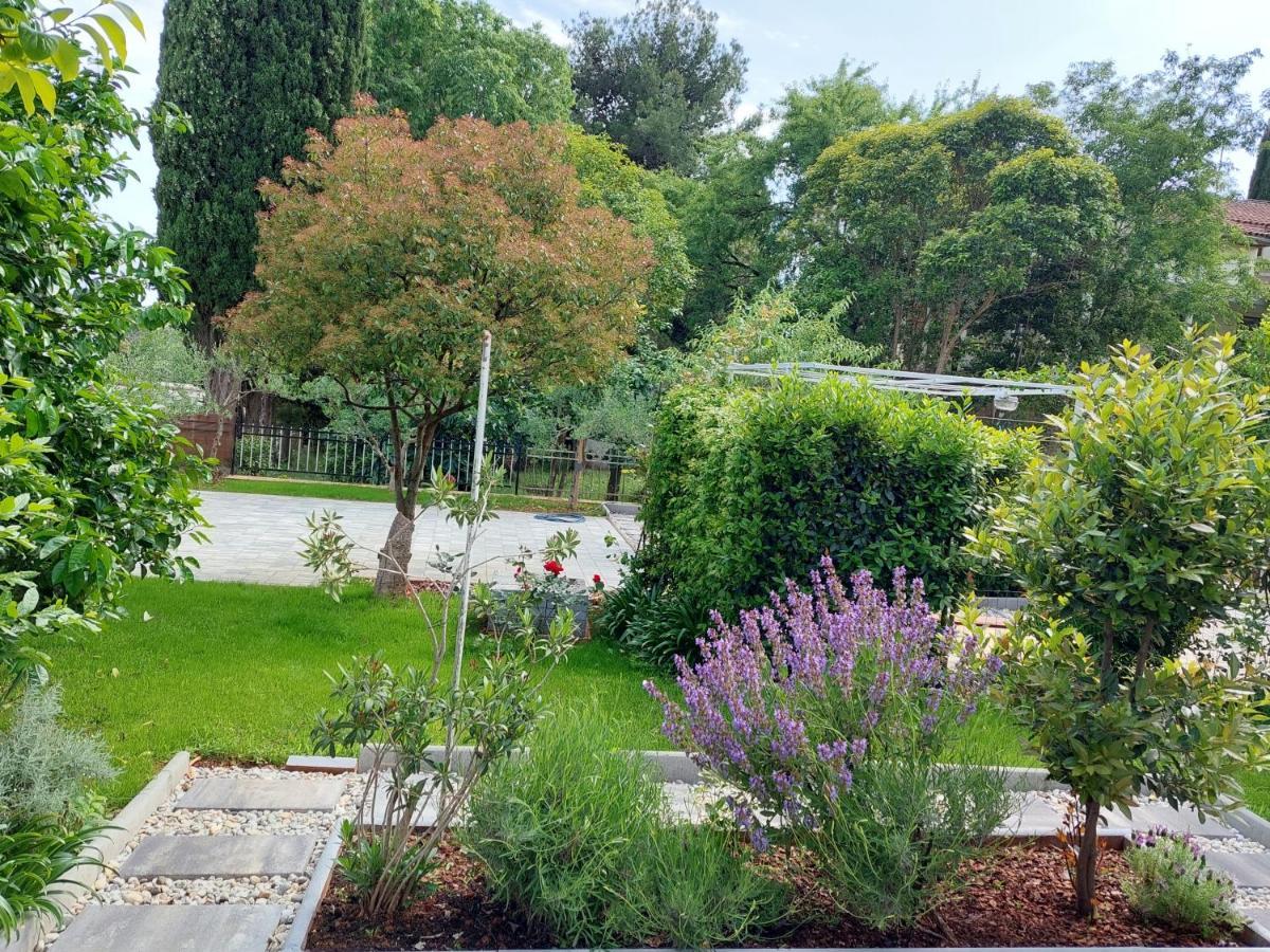 Villa Salvia Rooms And Apartments 罗维尼 外观 照片