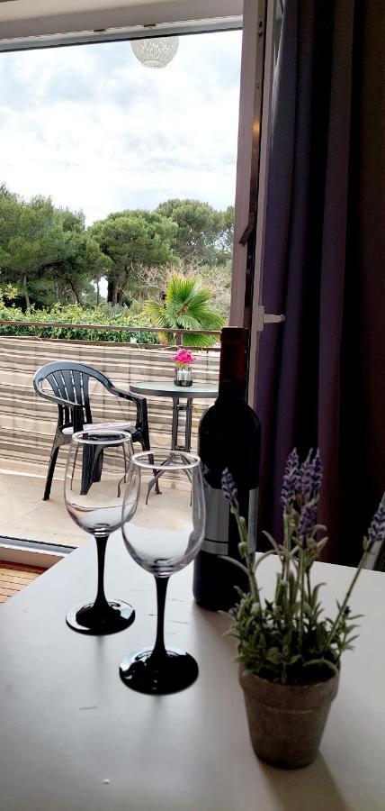 Villa Salvia Rooms And Apartments 罗维尼 外观 照片